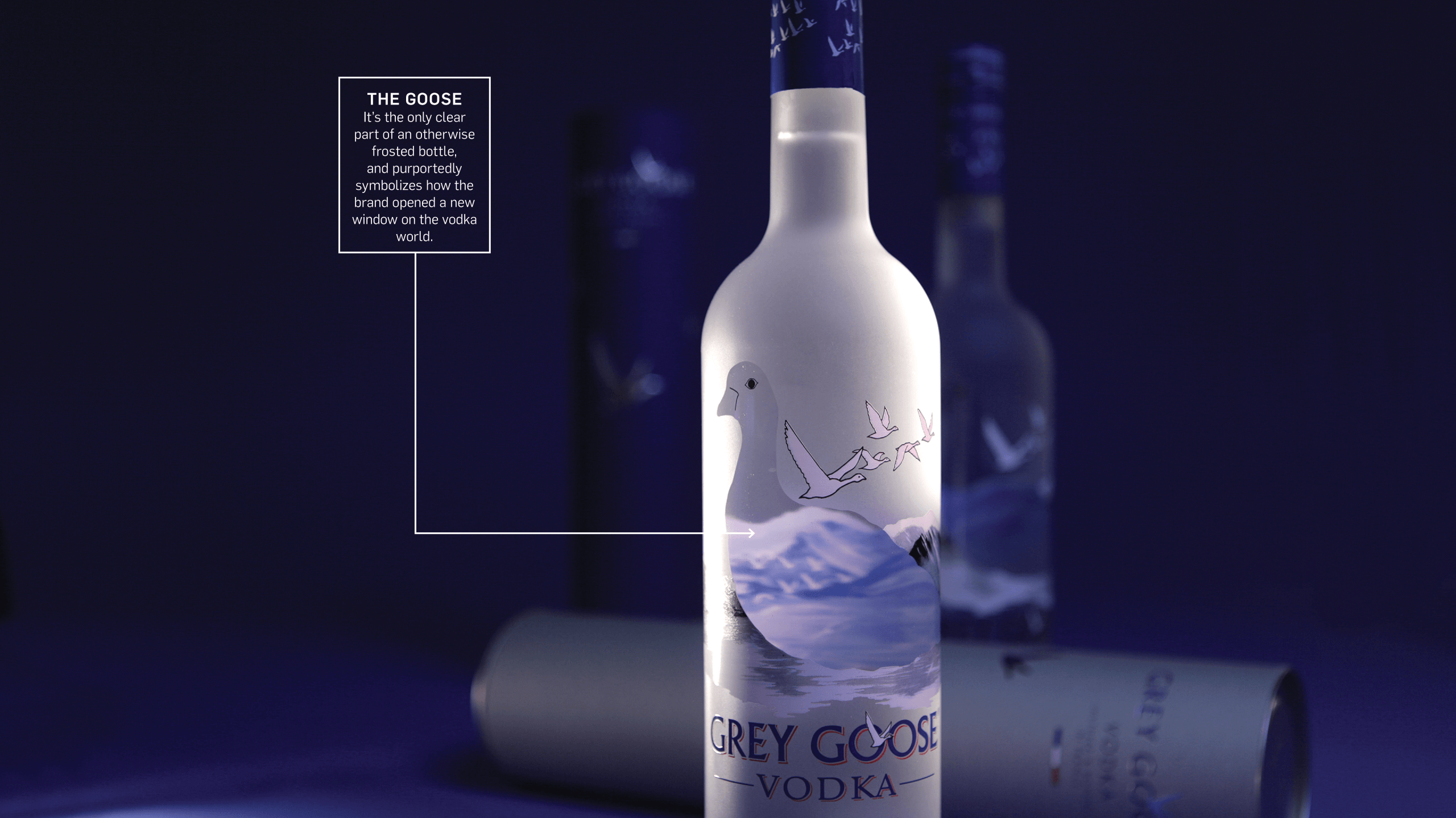New Grey Goose Logo - How Grey Goose Made Americans Realize That the Taste of Vodka ...