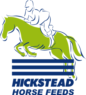 Green and Blue Horse Logo - Horse Feed