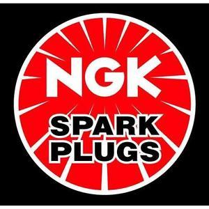 NGK Spark Plugs Logo - NGK Spark Plugs For Harley-Davidson Evo Big Twins | eBay