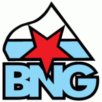 Bng Logo - BNG | Brands of the World™ | Download vector logos and logotypes