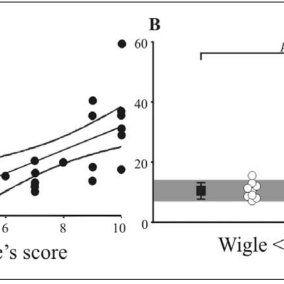 Wigle White with Red Line Logo - PDF) Effect of hypertrophy on left ventricular diastolic function in ...