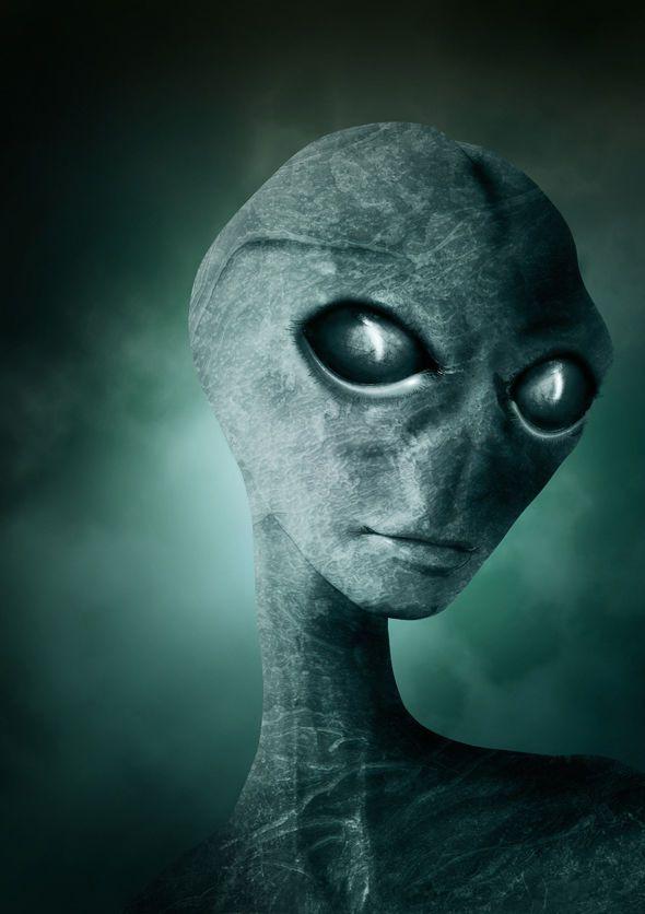 UFO Alien Logo - Are UFO investigators probing the world's first real alien corpse