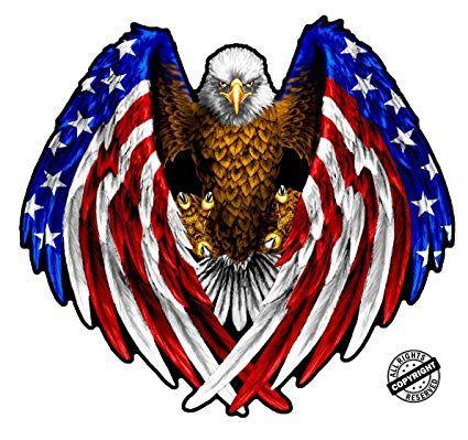 United States Eagle Logo - Amazon.com: Nostalgia Decals Bald Eagle American Flag Eagle Wings RV ...