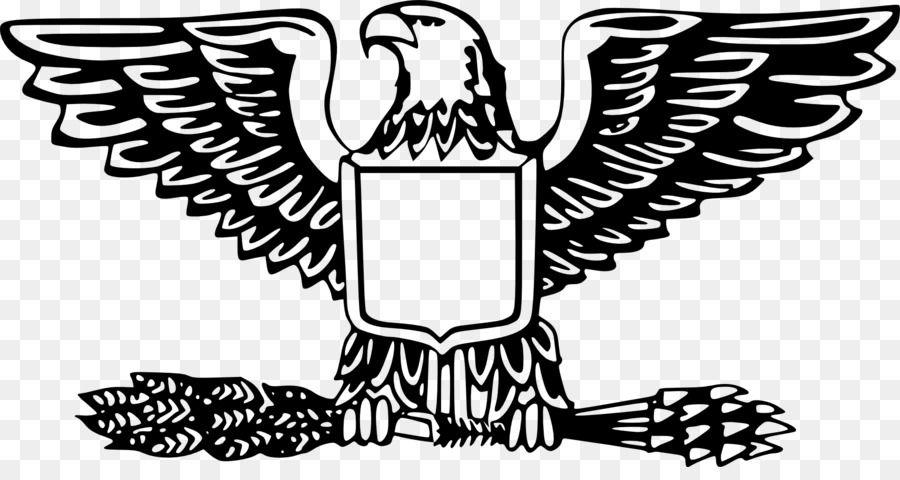 United States Eagle Logo - Bald Eagle United States Clip art - emblem vector png download ...