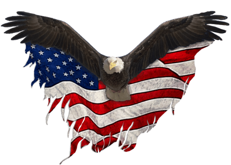 Bald Eagle Logo - Eagle Hot Shot | Hot Shot Transport Service | (918) 884-9421