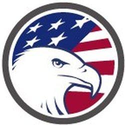 Small American Eagle Logo - About Us — American Eagle Consultants