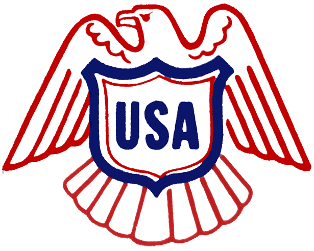 United States Eagle Logo - United States Primary Logo Ice Hockey Federation