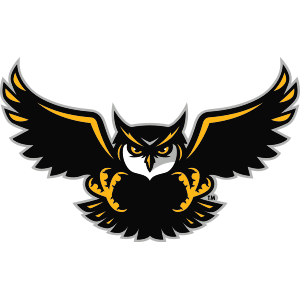 Owl Sports Logo - firebirds sports logo vector Logos