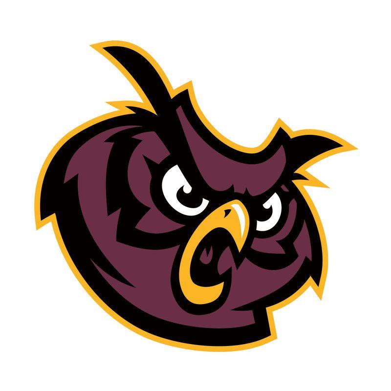 Owl Sports Logo - firebirds sports logo vector - Google Search | Owls Logos | Sports ...