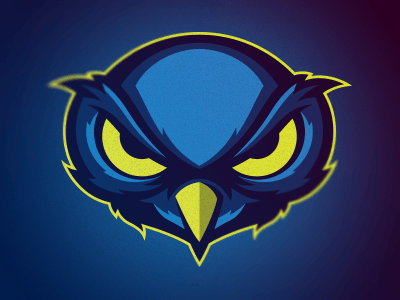 Owl Sports Logo - Night Owl