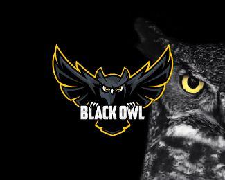 Owl Sports Logo - Black Owl Designed