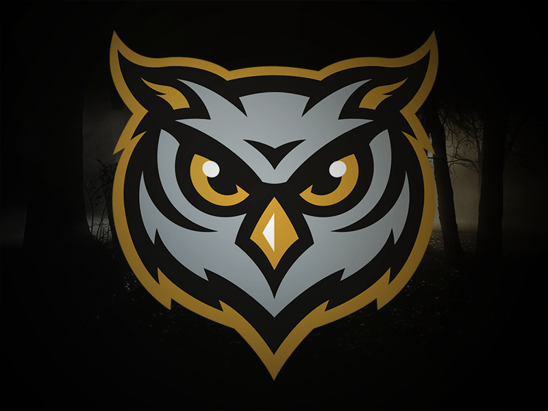 Owl Sports Logo - Owls by Matt Willcox | Dribbble | Dribbble
