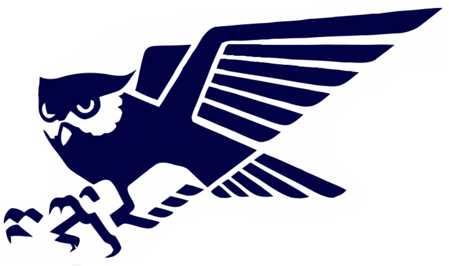 Owl Sports Logo - Owl Sports Logo