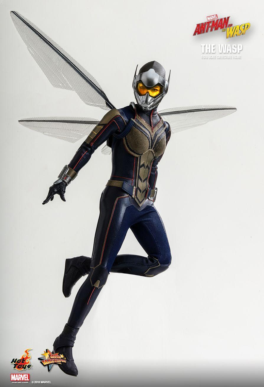 Got Toys Logo - Hot Toys : Ant Man And The Wasp Wasp 1 6th Scale Collectible