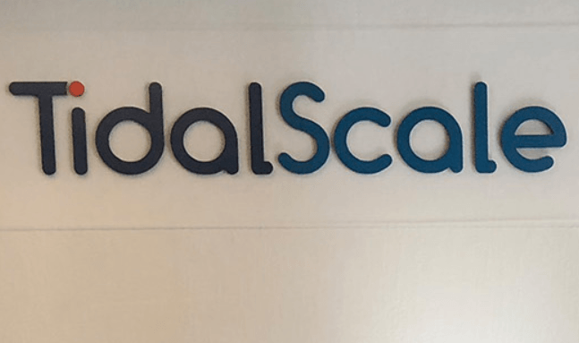 Tidalscale Logo - Infosys doubles investment in startup TidalScale to $3 mln