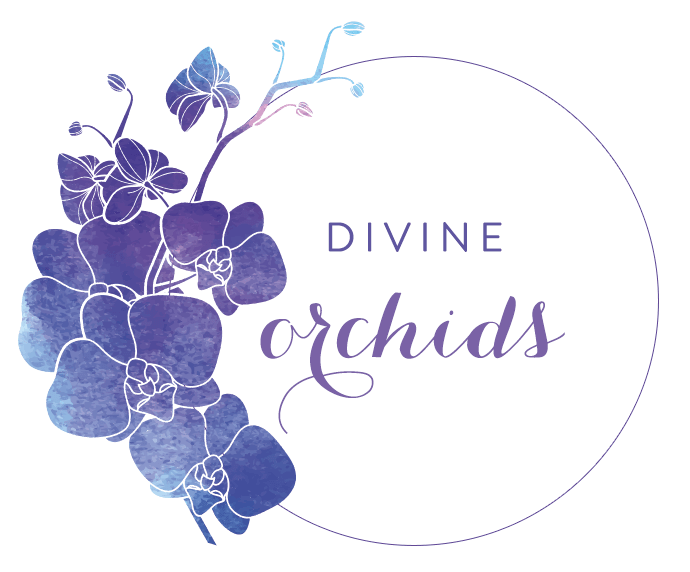 Orchid Flower Logo - Encinitas Florist | Flower Delivery by Divine Orchids