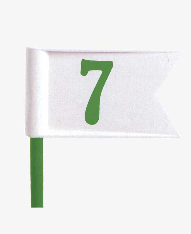 Green Penant Logo - Putting green pennant set