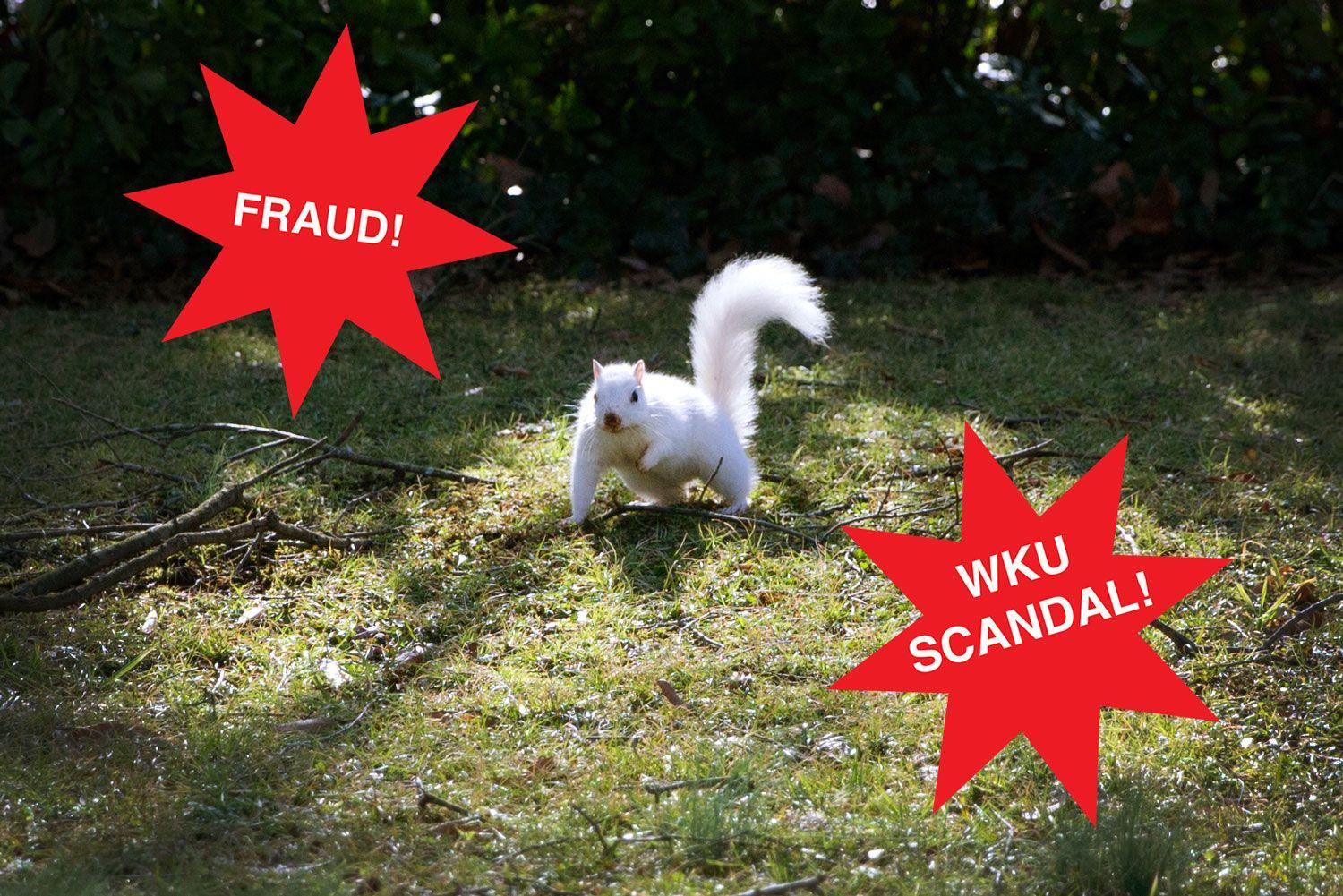 Red White Squirrel Logo - SCANDAL: Biology department apparently invented white squirrel ...