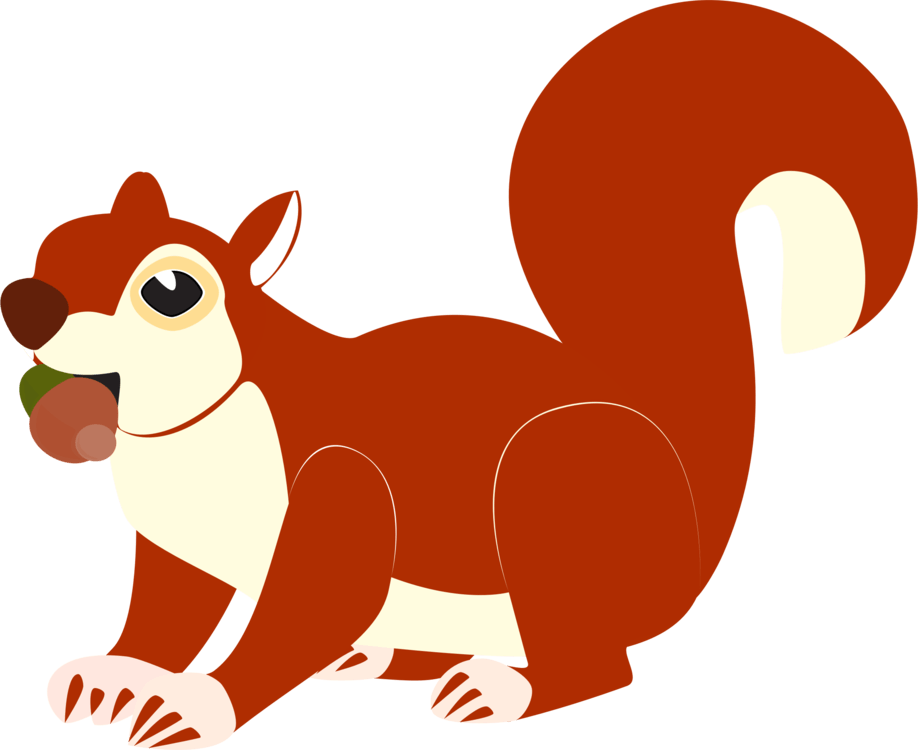 Red White Squirrel Logo - The White Squirrel Red squirrel Eastern gray squirrel Tree squirrel