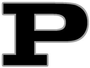 Permian Panthers Logo - HIGH SCHOOL FOOTBALL: Permian falls late to Midland Lee - Odessa ...