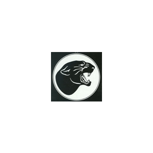 Permian Panthers Logo - Odessa Permian Panthers 19 Basketball Boys. Digital Scout