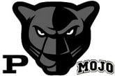Permian Panthers Logo - Permian High School Swimming & Diving Athletics