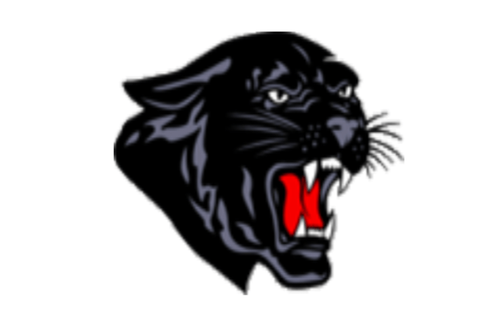 Permian Panthers Logo - Permian High Panthers