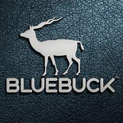 Blue Buck Logo - Broucher designing in Coimbatore|Web design company in coimbatore ...