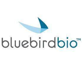 Blue Bird Brand Logo - EMA to review Bluebird's blood disorder gene therapy