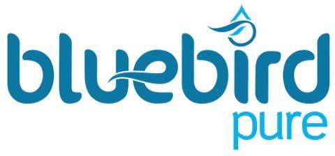 Blue Bird Brand Logo - Option Designs bags creative & digital duties for Bluebird Pure