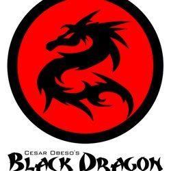 Red and Black Dragon Logo - Cesar Obeso's Black Dragon Karate W Hobbs, Roswell