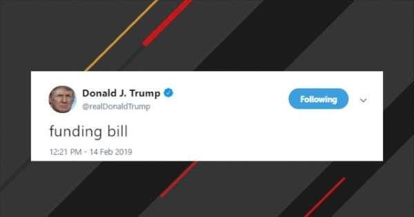 MSN Butterfly News Logo - Trump Has Internet Confused With Two-Word 'Funding Bill' Tweet