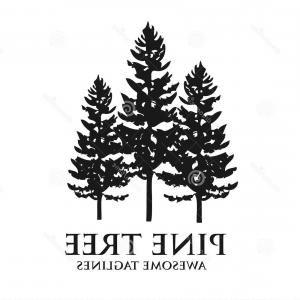 Tree Mountain Logo - Adventure Mountain Pine Tree Logo Vector