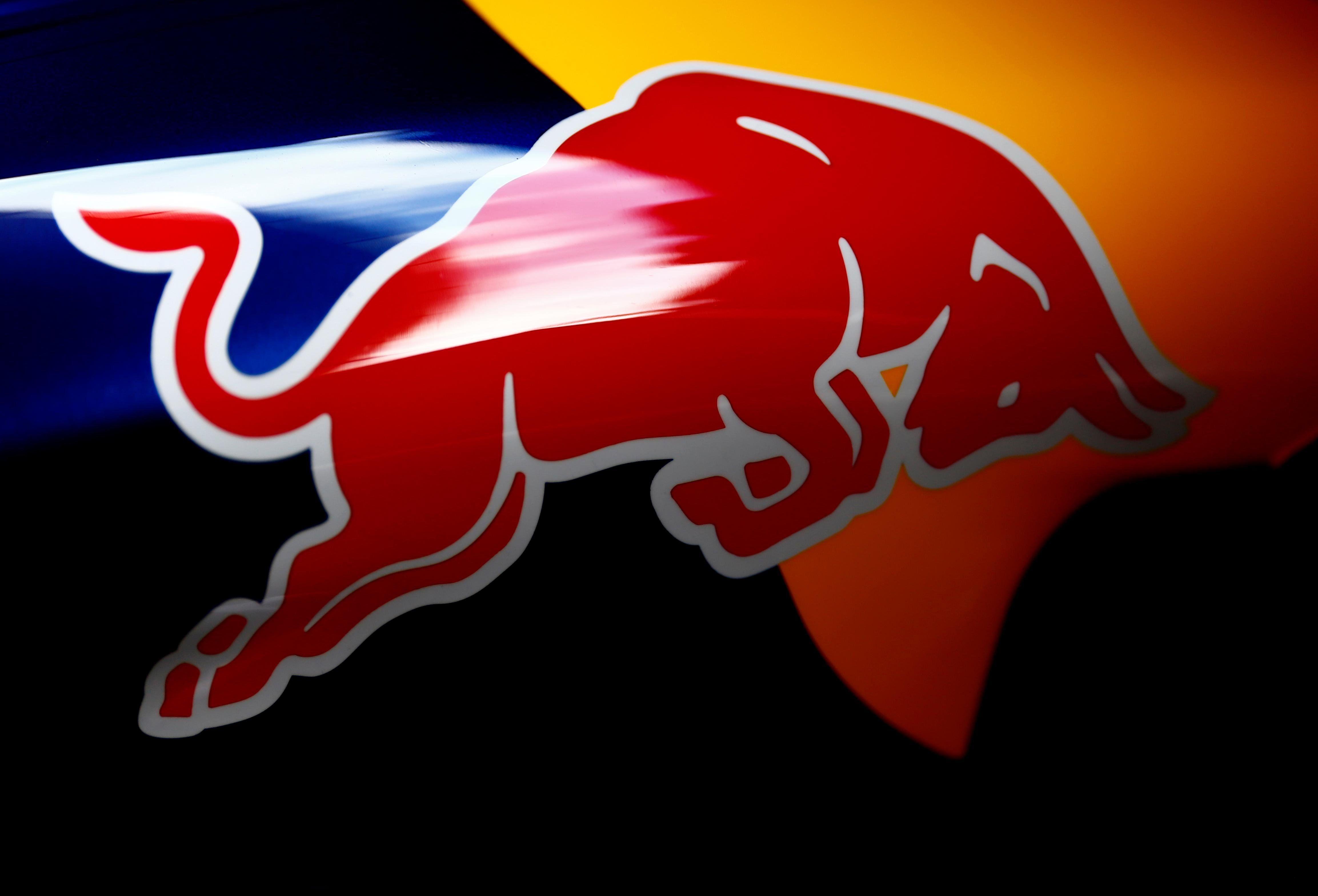 Red Bull Racing Logo - Countdown to the RB10