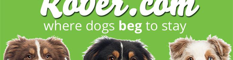 Rover Dog Sitting Logo - LOVE YOUR DOG, LIVE YOUR LIFE: ROVER.COM OFFERS PET PARENTS A PEACE ...