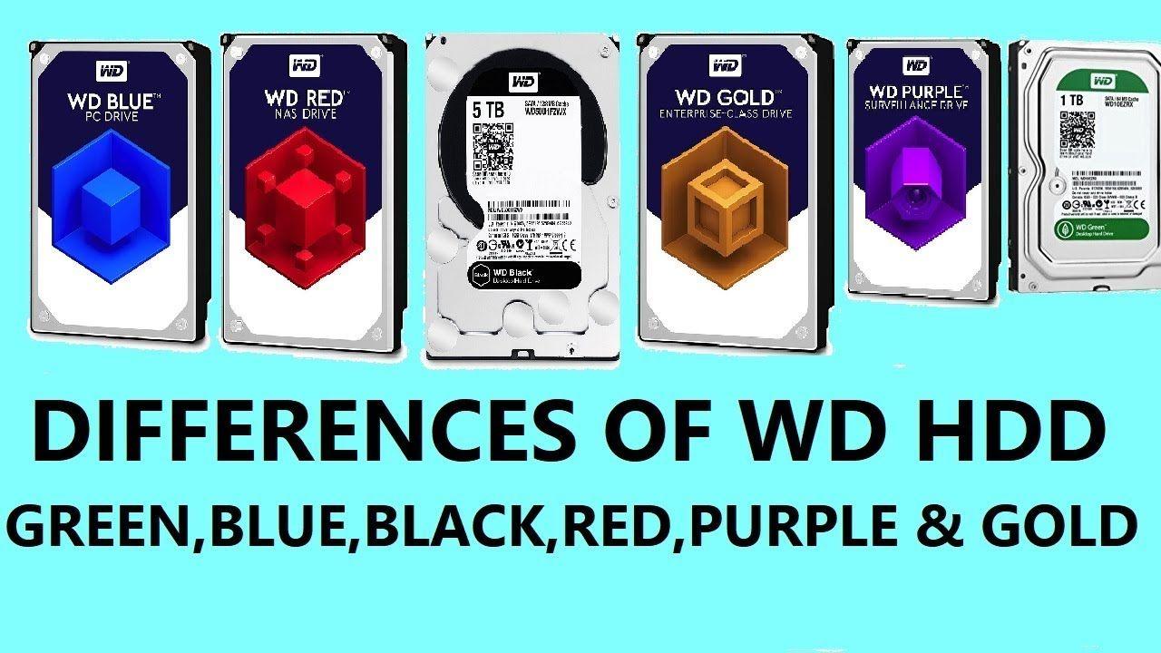 Red Black Blue and Green Logo - What is Difference Between WD HDD Blue, Black, Green, Purple, Red