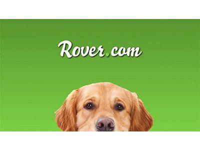 Rover Dog Sitting Logo - Rover Pet-Sitting Startup Raises $40 Million in Series E Funding