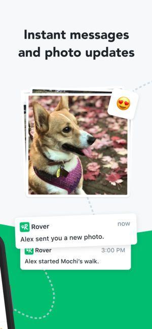 Dog Wlking Rover Logo - Rover—Dog Sitters & Walkers on the App Store