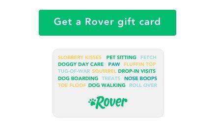Rover Dog Sitting Logo - Rover | Amazon.com