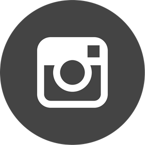 Gray Circle Logo - Instagram Logo Vectors Free Download