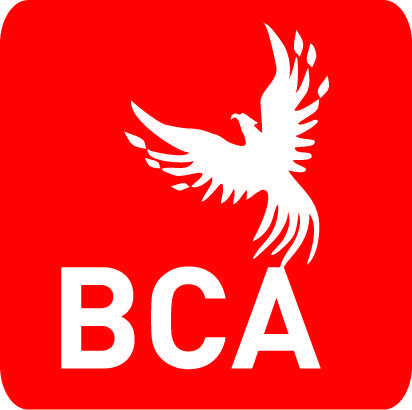BCA Logo - BCA Branding Logo Community Academy
