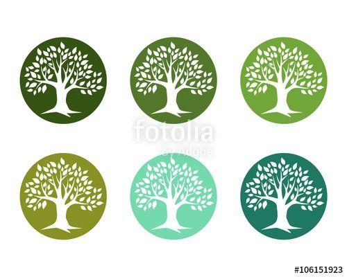 Green Tree Circle Logo - Tree In Circle Logo Stock Image And Royalty Free Vector Files