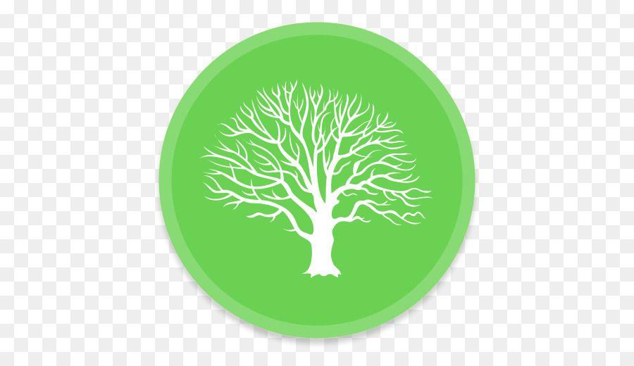 Green Tree Circle Logo - Genealogy Family tree MacFamilyTree History Tree Logo png