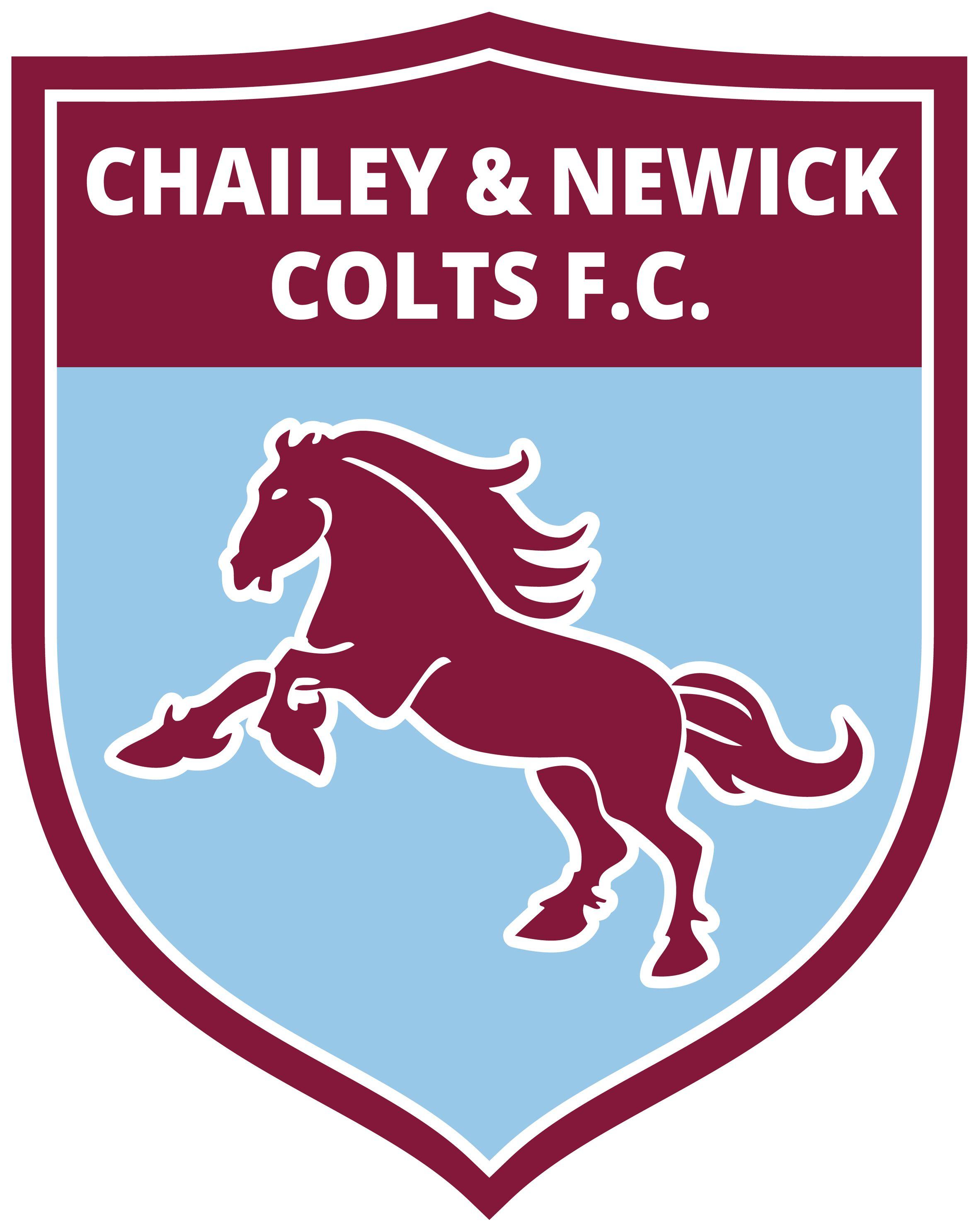 Horse Football Logo - Chailey and Newick Colts Football Club of Conduct