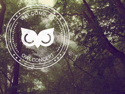 Owl Concept Logo - Owl Concept Logo | ♡ logo & branding | Owl logo, Logos, Logo design