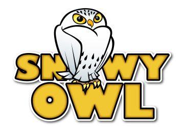 Owl Concept Logo - Company Branding