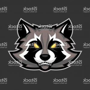 Raccoon Sports Logo - Stock Illustration Raccoons Mascot Illustration Cartoon Raccoon ...