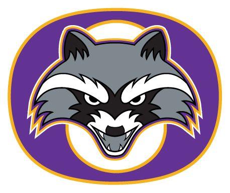Raccoon Sports Logo - News Post