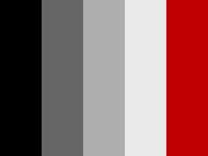 Black and Red Color Logo - Best Color Palettes: Red White Black Grey image. Color boards