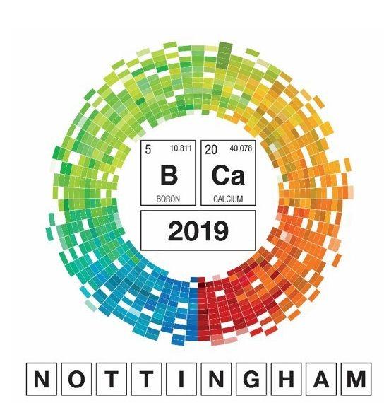 BCA Logo - British Crystallographic Association
